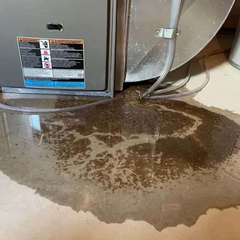 Appliance Leak Cleanup in Harbor Beach, MI